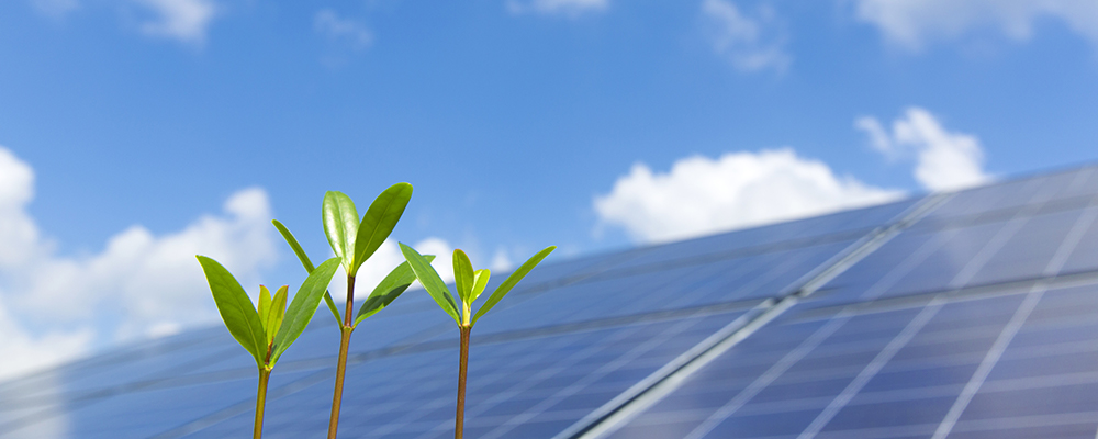 first 設備だけに頼るのではなく、家全体で消費電力を抑える